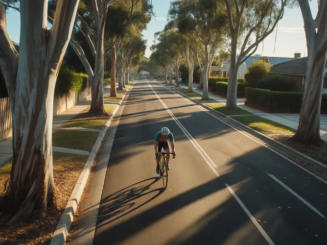What Makes a Good Cycling Route? A Rider’s Guide